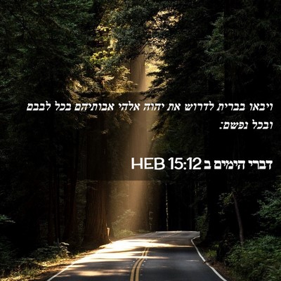 Picture 02 - דברי הימים ב 15:12 HEB - ויבאו בברית לדרוש את יהוה - Bible Verse Picture