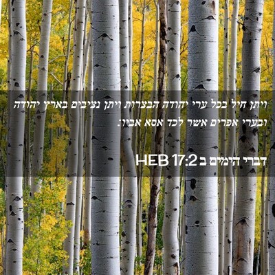 Picture 02 - דברי הימים ב 17:2 HEB - ויתן חיל בכל ערי יהודה - Bible Verse Picture