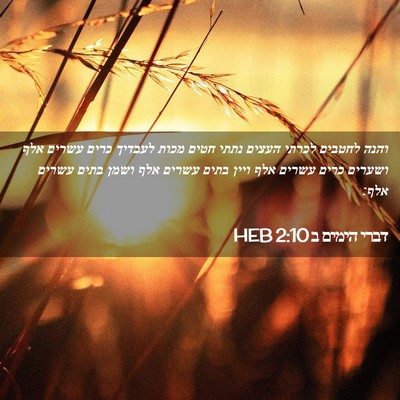 Picture 02 - דברי הימים ב 2:10 HEB - והנה לחטבים לכרתי העצים - Bible Verse Picture
