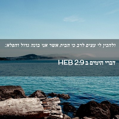 Picture 02 - דברי הימים ב 2:9 HEB - ולהכין לי עצים לרב כי הבית - Bible Verse Picture