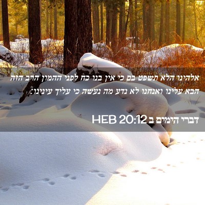 Picture 02 - דברי הימים ב 20:12 HEB - אלהינו הלא תשפט בם כי אין - Bible Verse Picture