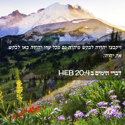 Picture 02 - דברי הימים ב 20:4 HEB - ויקבצו יהודה לבקש מיהוה גם - Bible Verse Picture