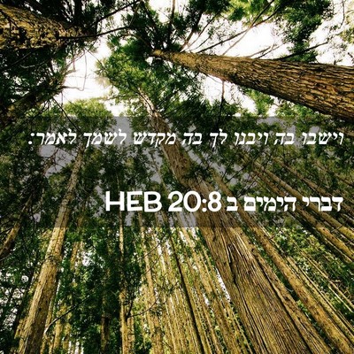 Picture 02 - דברי הימים ב 20:8 HEB - וישבו בה ויבנו לך בה מקדש - Bible Verse Picture