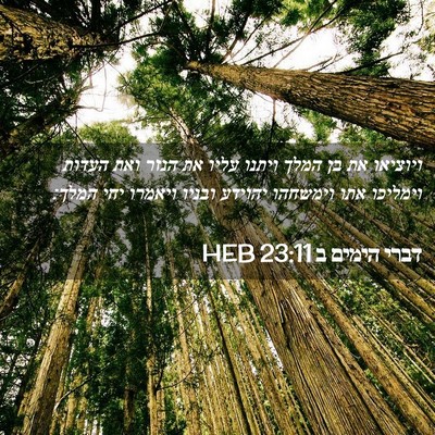 Picture 02 - דברי הימים ב 23:11 HEB - ויוציאו את בן המלך ויתנו - Bible Verse Picture