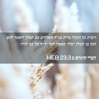 Picture 02 - דברי הימים ב 23:3 HEB - ויכרת כל הקהל ברית בבית - Bible Verse Picture