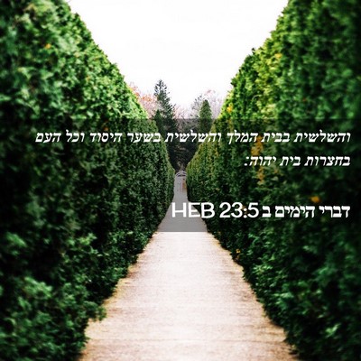 Picture 02 - דברי הימים ב 23:5 HEB - והשלשית בבית המלך והשלשית - Bible Verse Picture