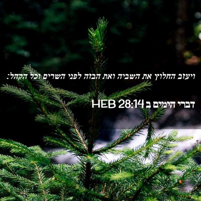 Picture 02 - דברי הימים ב 28:14 HEB - ויעזב החלוץ את השביה ואת - Bible Verse Picture