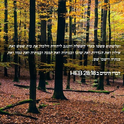 Picture 02 - דברי הימים ב 28:18 HEB - ופלשתים פשטו בערי השפלה - Bible Verse Picture