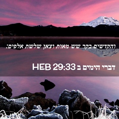 Picture 02 - דברי הימים ב 29:33 HEB - והקדשים בקר שש מאות וצאן - Bible Verse Picture