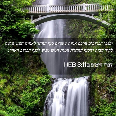 Picture 02 - דברי הימים ב 3:11 HEB - וכנפי הכרובים ארכם אמות - Bible Verse Picture