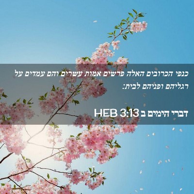 Picture 02 - דברי הימים ב 3:13 HEB - כנפי הכרובים האלה פרשים - Bible Verse Picture