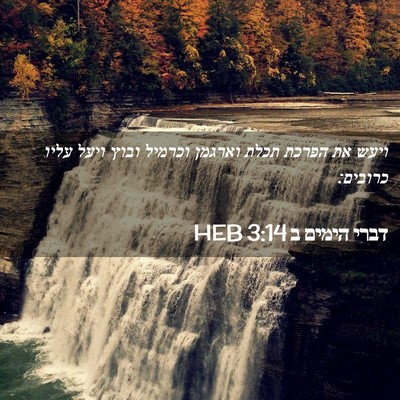 Picture 02 - דברי הימים ב 3:14 HEB - ויעש את הפרכת תכלת וארגמן - Bible Verse Picture