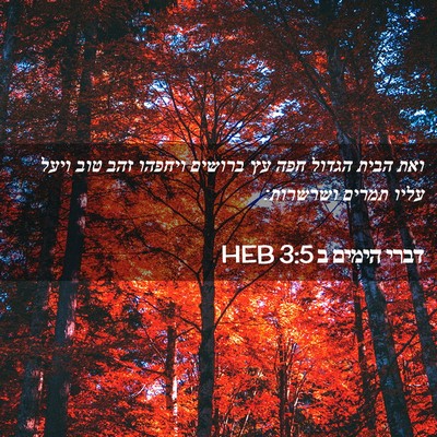 Picture 02 - דברי הימים ב 3:5 HEB - ואת הבית הגדול חפה עץ - Bible Verse Picture