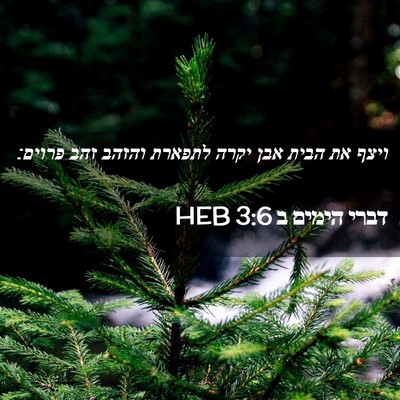 Picture 02 - דברי הימים ב 3:6 HEB - ויצף את הבית אבן יקרה - Bible Verse Picture