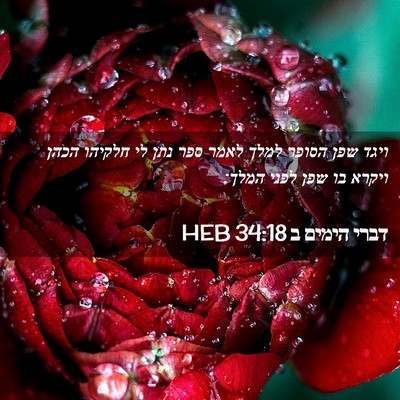 Picture 02 - דברי הימים ב 34:18 HEB - ויגד שפן הסופר למלך לאמר - Bible Verse Picture