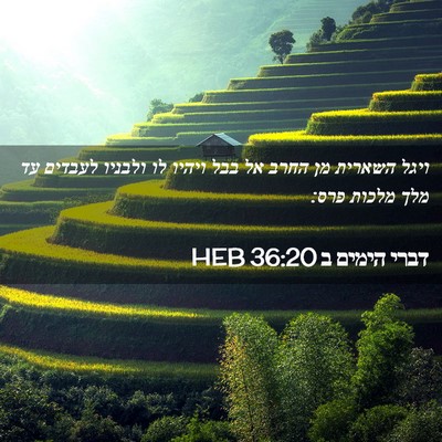 Picture 02 - דברי הימים ב 36:20 HEB - ויגל השארית מן החרב אל בבל - Bible Verse Picture