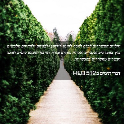 Picture 02 - דברי הימים ב 5:12 HEB - והלוים המשררים לכלם לאסף - Bible Verse Picture