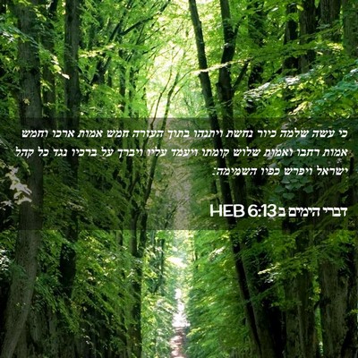 Picture 02 - דברי הימים ב 6:13 HEB - כי עשה שלמה כיור נחשת - Bible Verse Picture