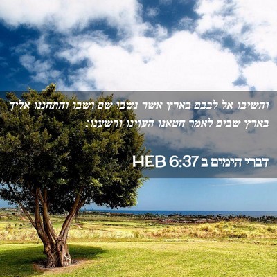 Picture 02 - דברי הימים ב 6:37 HEB - והשיבו אל לבבם בארץ אשר - Bible Verse Picture