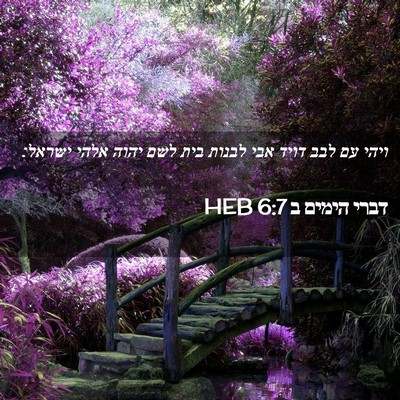 Picture 02 - דברי הימים ב 6:7 HEB - ויהי עם לבב דויד אבי לבנות - Bible Verse Picture