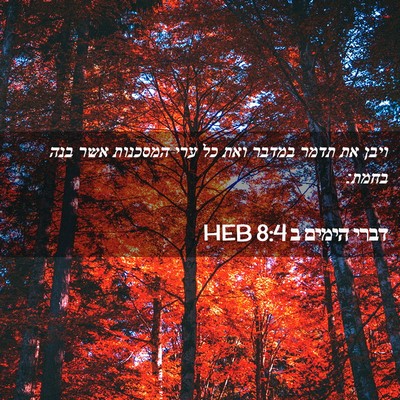 Picture 02 - דברי הימים ב 8:4 HEB - ויבן את תדמר במדבר ואת כל - Bible Verse Picture