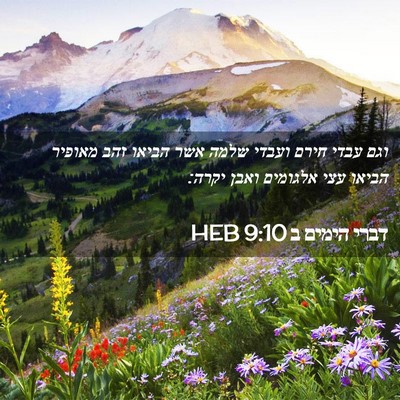 Picture 02 - דברי הימים ב 9:10 HEB - וגם עבדי חירם ועבדי שלמה - Bible Verse Picture