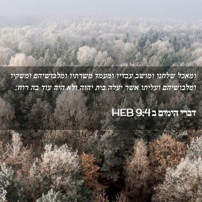 Picture 02 - דברי הימים ב 9:4 HEB - ומאכל שלחנו ומושב עבדיו - Bible Verse Picture
