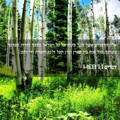 Picture 02 - דברים 1:1 HEB - אלה הדברים אשר דבר משה אל - Bible Verse Picture