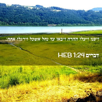 Picture 02 - דברים 1:24 HEB - ויפנו ויעלו ההרה ויבאו עד - Bible Verse Picture