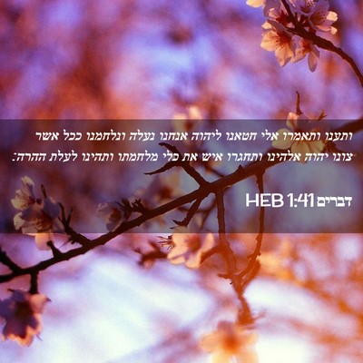 Picture 02 - דברים 1:41 HEB - ותענו ותאמרו אלי חטאנו - Bible Verse Picture
