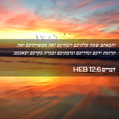 Picture 02 - דברים 12:6 HEB - והבאתם שמה עלתיכם וזבחיכם - Bible Verse Picture