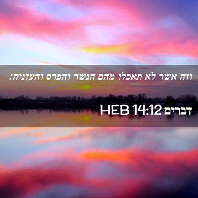 Picture 02 - דברים 14:12 HEB - וזה אשר לא תאכלו מהם הנשר - Bible Verse Picture