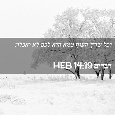 Picture 02 - דברים 14:19 HEB - וכל שרץ העוף טמא הוא לכם לא - Bible Verse Picture