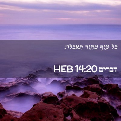 Picture 02 - דברים 14:20 HEB - כל עוף טהור - Bible Verse Picture