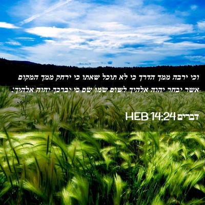 Picture 02 - דברים 14:24 HEB - וכי ירבה ממך הדרך כי לא - Bible Verse Picture