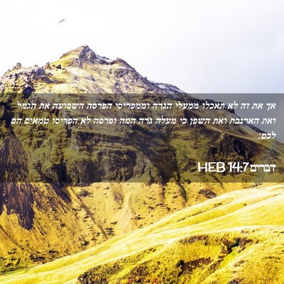 Picture 02 - דברים 14:7 HEB - אך את זה לא תאכלו ממעלי - Bible Verse Picture