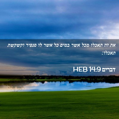 Picture 02 - דברים 14:9 HEB - את זה תאכלו מכל אשר במים כל - Bible Verse Picture