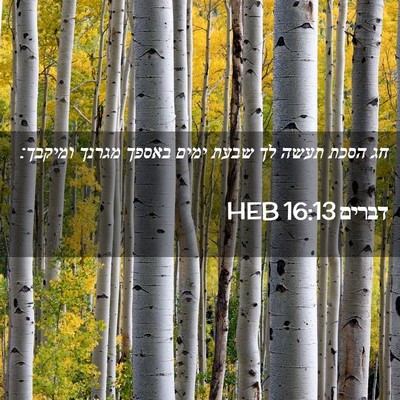 Picture 02 - דברים 16:13 HEB - חג הסכת תעשה לך שבעת ימים - Bible Verse Picture