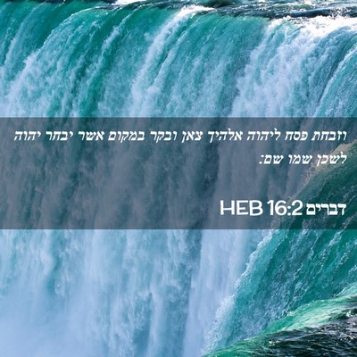 Picture 02 - דברים 16:2 HEB - וזבחת פסח ליהוה אלהיך צאן - Bible Verse Picture