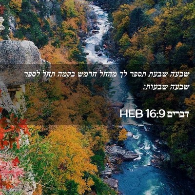 Picture 02 - דברים 16:9 HEB - שבעה שבעת תספר לך מהחל חרמש - Bible Verse Picture