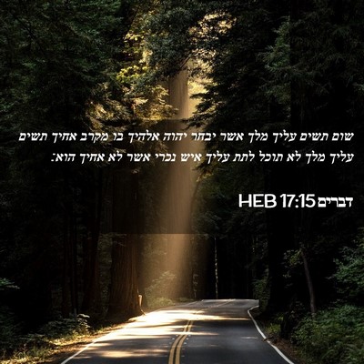 Picture 02 - דברים 17:15 HEB - שום תשים עליך מלך אשר יבחר - Bible Verse Picture