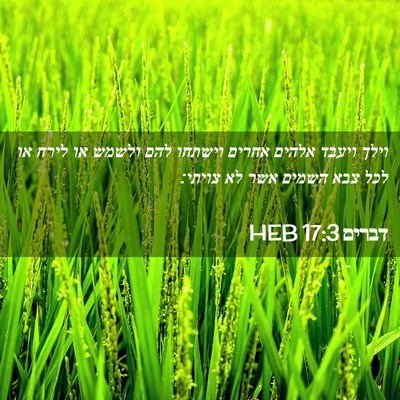 Picture 02 - דברים 17:3 HEB - וילך ויעבד אלהים אחרים - Bible Verse Picture