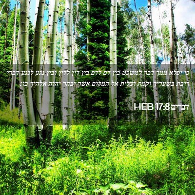Picture 02 - דברים 17:8 HEB - כי יפלא ממך דבר למשפט בין - Bible Verse Picture