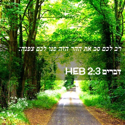 Picture 02 - דברים 2:3 HEB - רב לכם סב את ההר הזה פנו לכם - Bible Verse Picture