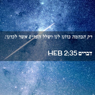 Picture 02 - דברים 2:35 HEB - רק הבהמה בזזנו לנו ושלל - Bible Verse Picture