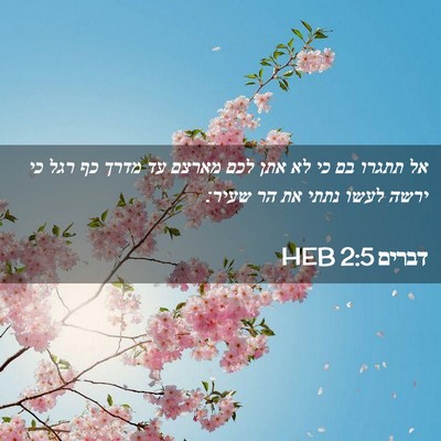 Picture 02 - דברים 2:5 HEB - אל תתגרו בם כי לא אתן לכם - Bible Verse Picture