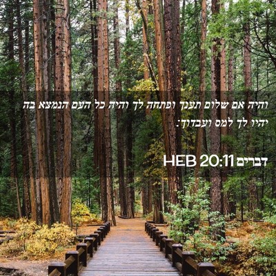 Picture 02 - דברים 20:11 HEB - והיה אם שלום תענך ופתחה לך - Bible Verse Picture