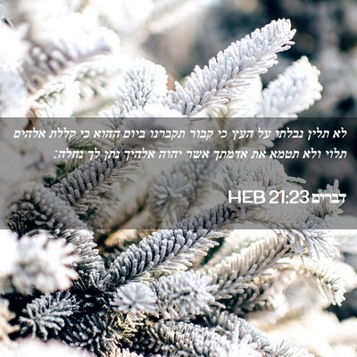 Picture 02 - דברים 21:23 HEB - לא תלין נבלתו על העץ כי - Bible Verse Picture