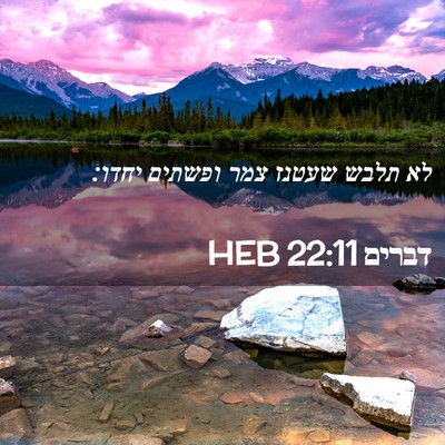 Picture 02 - דברים 22:11 HEB - לא תלבש שעטנז צמר ופשתים - Bible Verse Picture