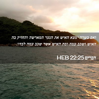 Picture 02 - דברים 22:25 HEB - ואם בשדה ימצא האיש את הנער - Bible Verse Picture
